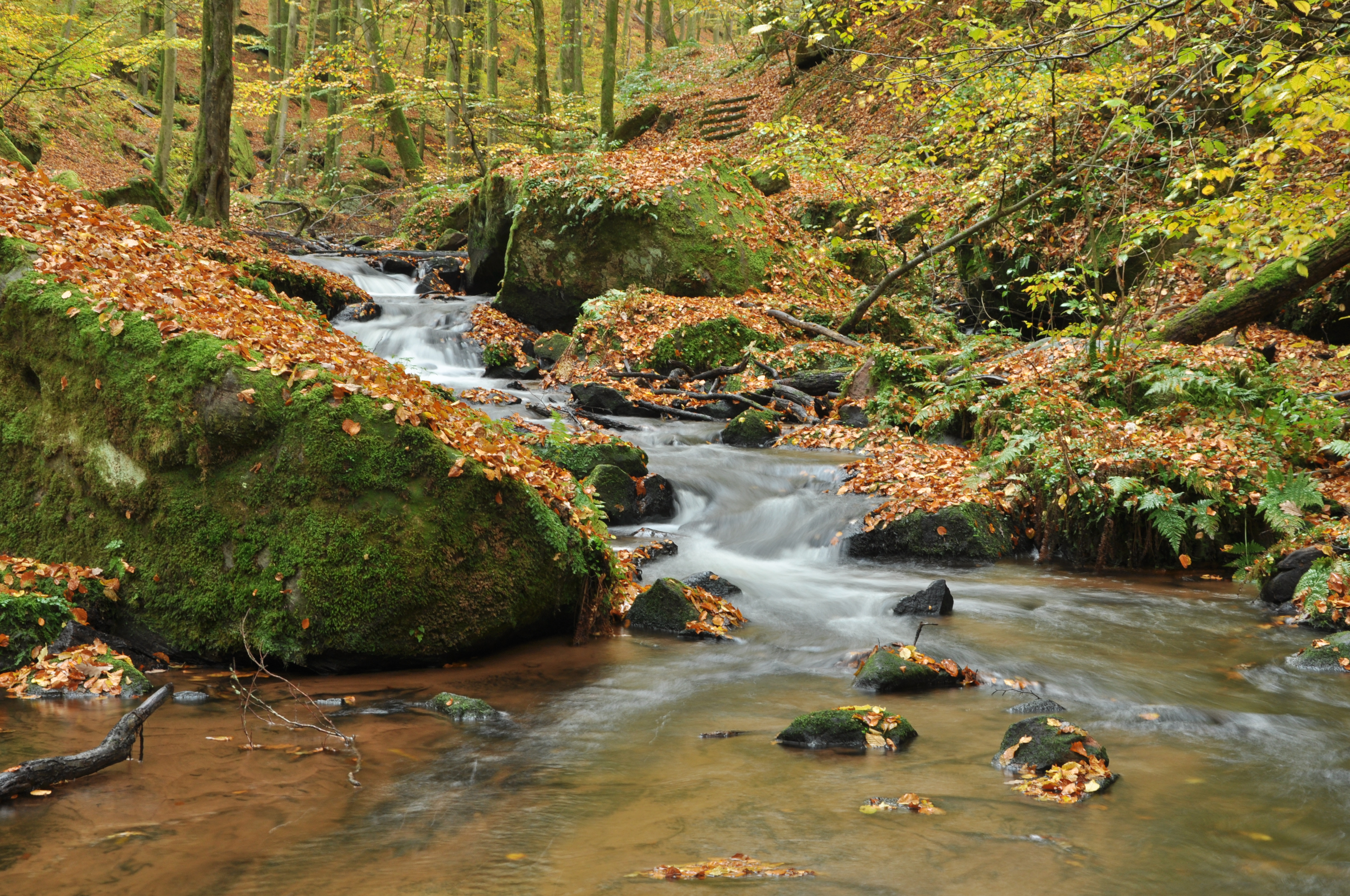 Wasserfälle in der Karlsschlucht (Pfälzer Wald)