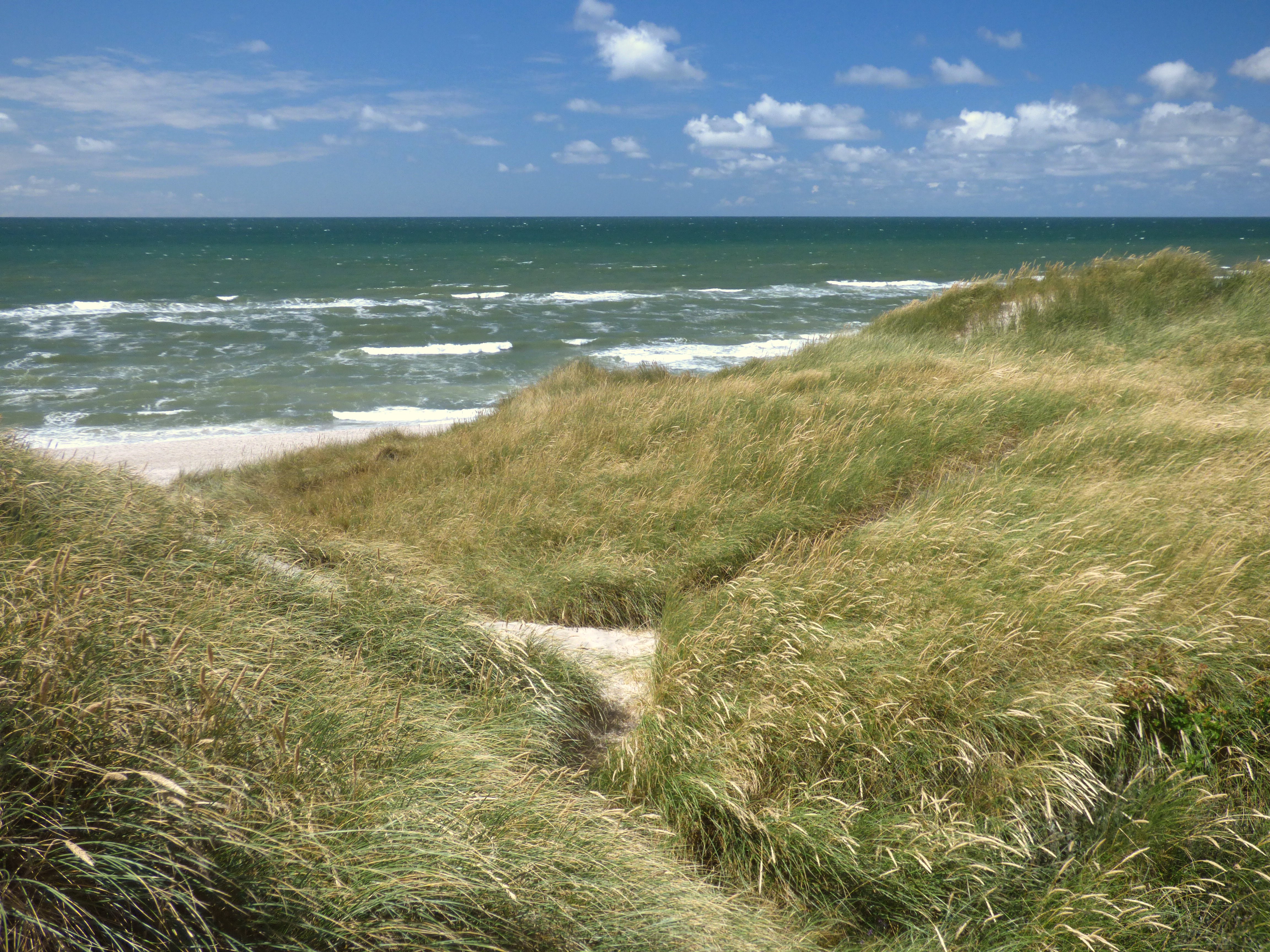 Strand und Dünen nördlich von Hvide Sande, Dänemark